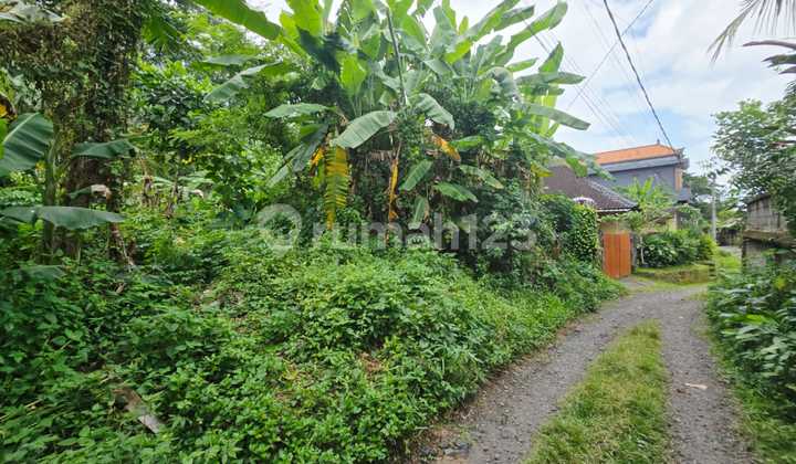 Tanah Murah Dekat Wood School Di Pejeng Ubud Area 2