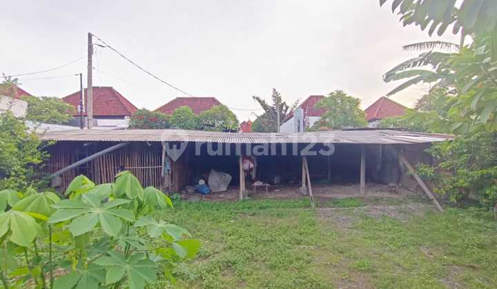 Tanah Dijual Cepat di Kertadalem Sidakarya Tanah Dijual Cepat di Kertadalem Sidakarya