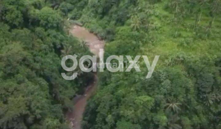 Tanah View Hutan Los Sungai Ayung Di Melinggih Kelod Payangan Gianyar, Bali 1