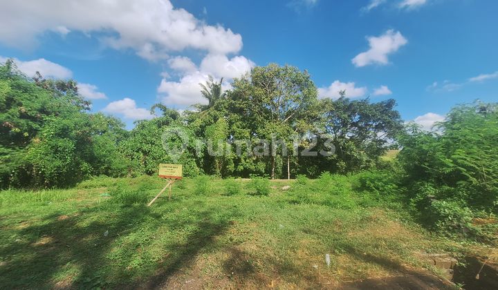 Tanah View Sungai Dan Sawah Di Greenlot Sambandha Villa