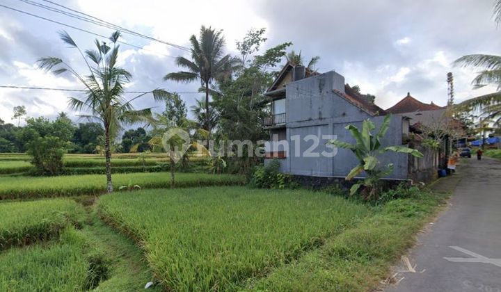 Tanah View Sawah Zona Kuning Di Pejeng Kawan - Tampaksiring