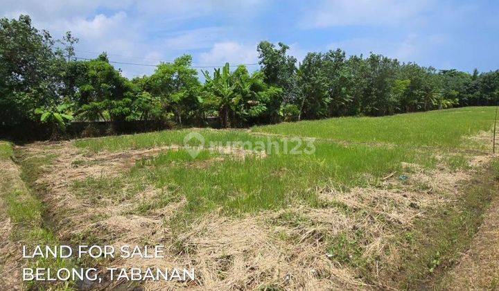 Tanah Kavling  Dekat Pantai  Belong Beach 1