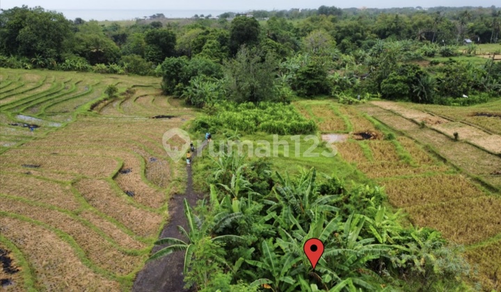 Land Parcel on Jl Umalalang Cemagi