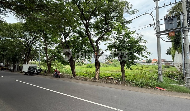 Tanah Komersial Murah Raya Kertajaya Indah Dekat Merr Pusat Kota