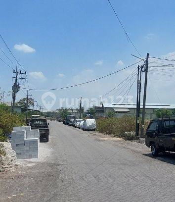 Termurah Tanah Osowilangon Margomulyo 50 Meter Ke Raya  1