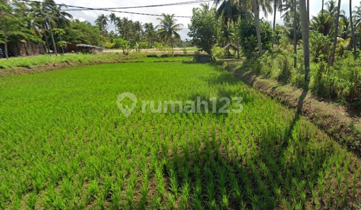 For Sale: Strategic Land Near Batukaras Beach - Suitable for Villas & Hotels For Sale: Strategic Land Near Batukaras Beach - Suitable for Villas & Hotels