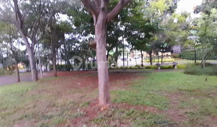 Rare Small Plot 9x11 Clust Hylands Greenwich Bsd Bs KPR b Rare Small Plot 9x11 Clust Hylands Greenwich Bsd Bs KPR b