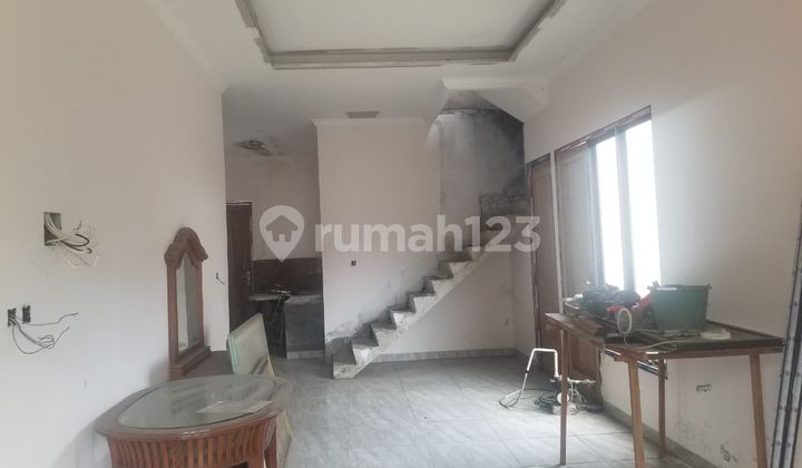 Bagus 7X17 Tinggal Finishing Hook Bangun Mandiri Clust Barleria B 2