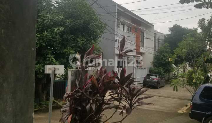 Good 7x17 Stay Finishing Hook Build Independent Cluster Barleria D 2