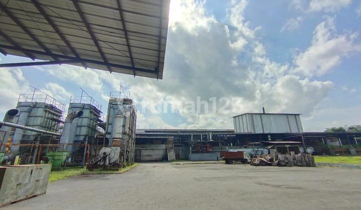 Wood Factory for Sale in Jember, East Java