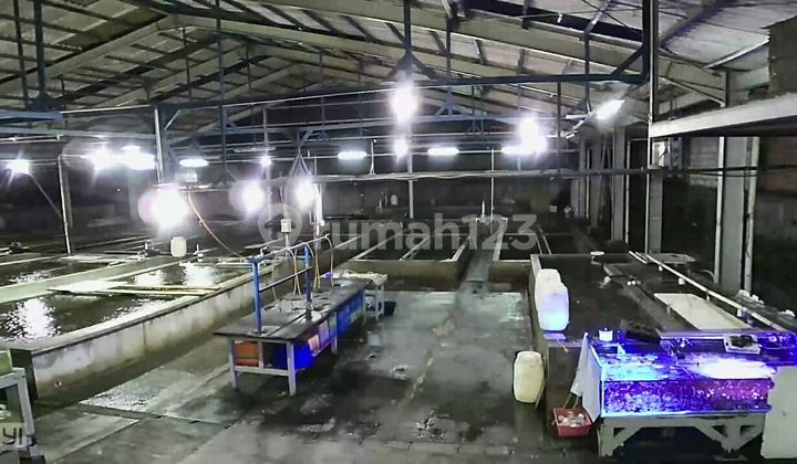 Jual Kavling Strategis Kalideres, Jakarta Barat Jual Kavling Strategis Kalideres, Jakarta Barat