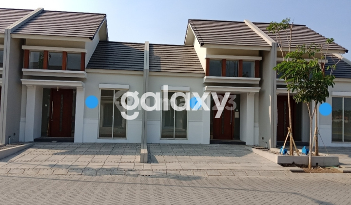 grandharvest type apple