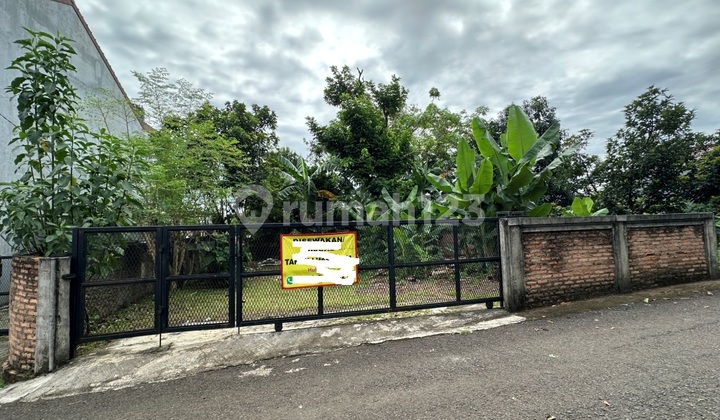 Land 160 m2 Ready to Build on Jl Aselih Jagakarsa Jakarta Land 160 m2 Ready to Build on Jl Aselih Jagakarsa Jakarta