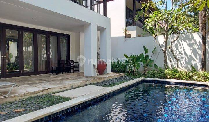 Tropical Minimalist House With Swimming Pool 1