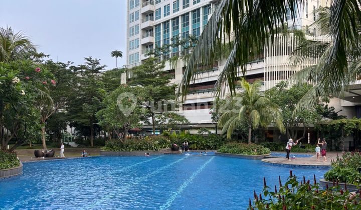 Kensington Royal Suite Apartment in Kelapa Gading for Sale at a Low Price