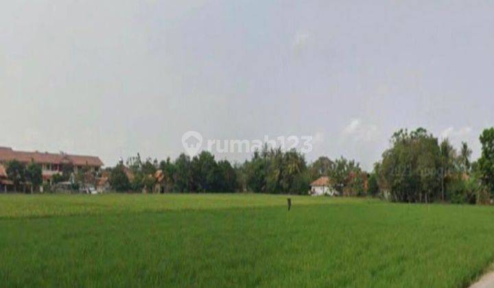 Tanah Sawah di Jatibaru Jatiasih Karawang 1