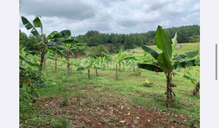 Tanah Di Cobaregbeg Sukabumi Jawa Barat 2