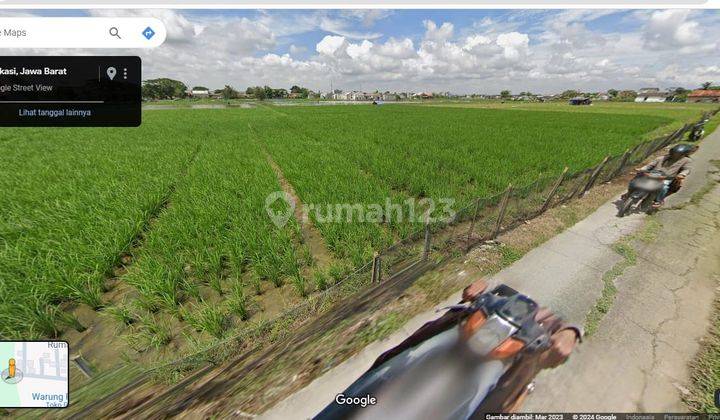 Tanah Sawah  Di Tarumajaya Bekasi 1