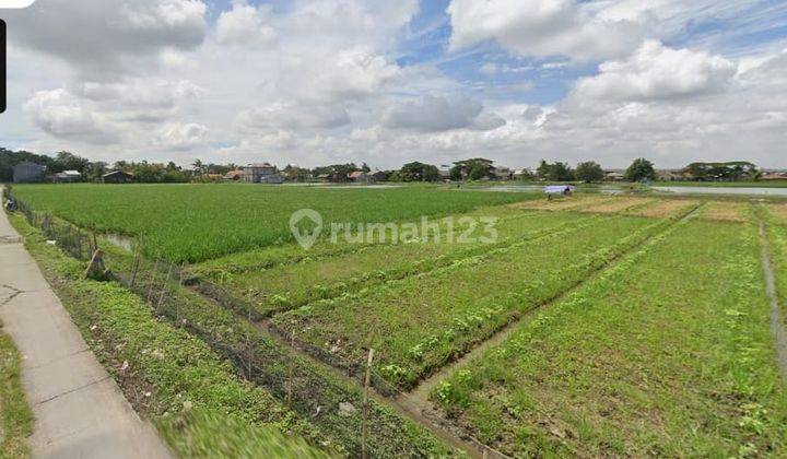 Tanah Sawah  Di Tarumajaya Bekasi 2