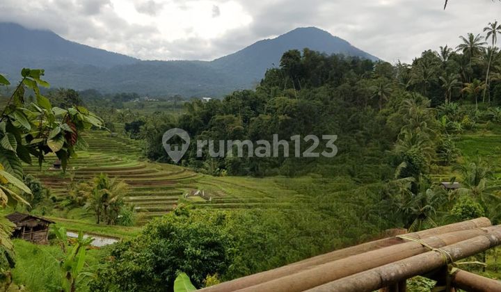 Dijual Tanah Di Jatiluwih Penebel Tabanan Shm