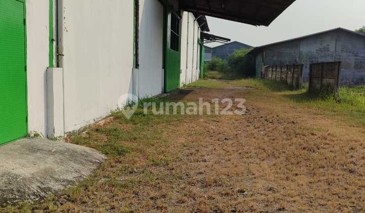 Warehouse for Sale Cheap on Jl Utama Raya Salembaran Kosambi Tangerang