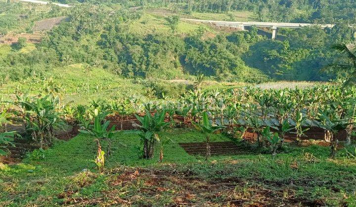 Dijual Tanah Luas 140 Ha Lokasi Sangat Strategis di Purwasari Cicurug Sukabumi Jawa Barat 4