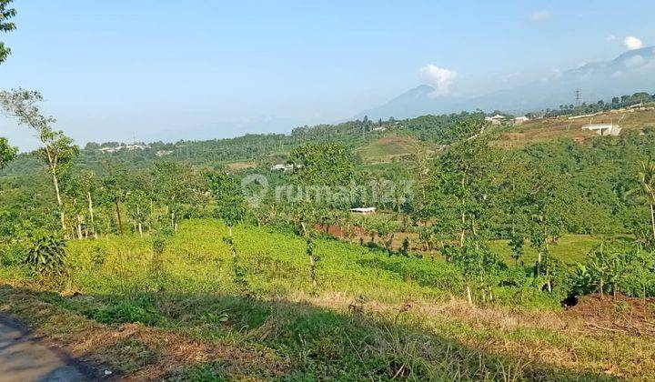 Dijual Tanah Luas 140 Ha Lokasi Sangat Strategis di Purwasari Cicurug Sukabumi Jawa Barat 9