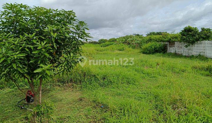Dijual Termurah Tanah Industri Lokasi Kapuk Kamal Jakarta Utara 1