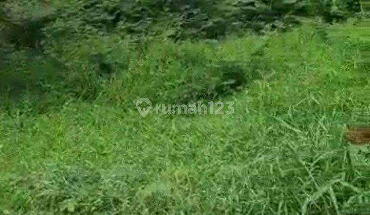 Tanah Kavling Luas 593 Sertifikat Hak Milik Lokasi Perumahan Wisma Asri Ujung Harapan Bekasi 2