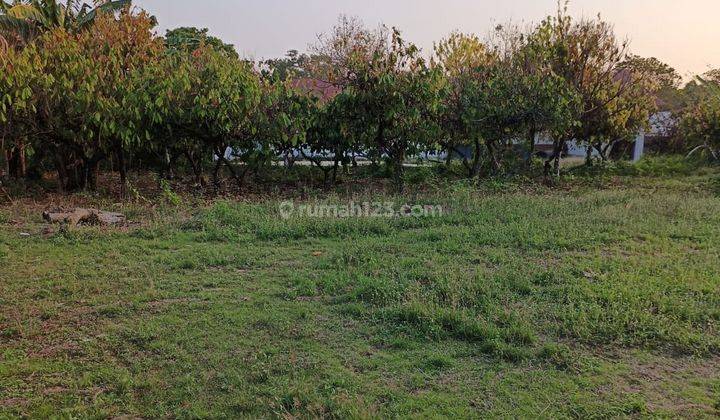 Kavling Luas Tanah 1,5 Hektar Di Kota Metro Lampung Terdiri Dari 4 Sertifikat. 1