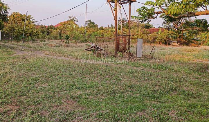 Kavling Luas Tanah 1,5 Hektar Di Kota Metro Lampung Terdiri Dari 4 Sertifikat. 2