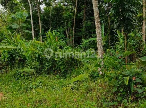 Quick Sale Plot + Villa on Jl Cirendeu - Cigudeg, West Bogor.