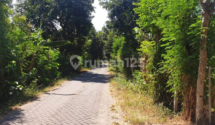 Rembang Fruit Garden, Pasuruan, fertile, abundant water.