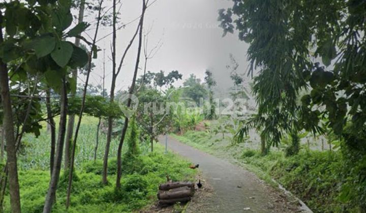 Tanah Dekat Kebun Raya Purwodadi Cocok untuk Villa