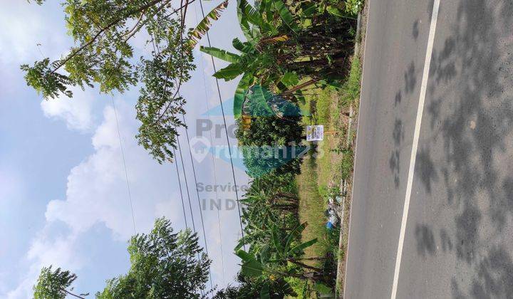 Dawarblandong Kedamean, dekat tol 2