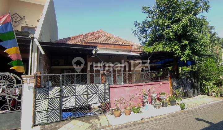 Citra Tropodo, Dekat Rungkut Pocan