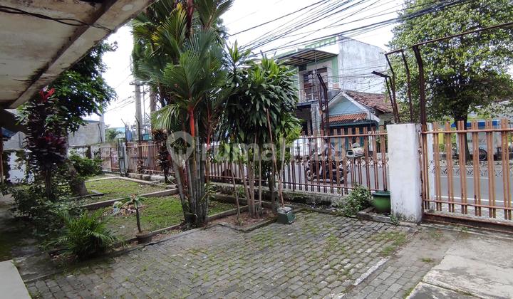 Bunga Cengkeh Malang. Komersil Rame Bunga Cengkeh Malang. Komersil Rame