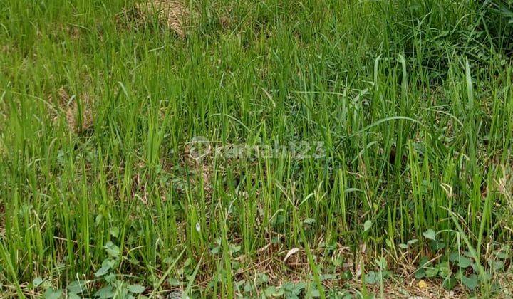 Kavling murah dimetland Puri tangerang 1