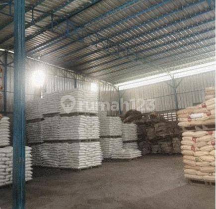 Di Jual Cepat Gudang Jln.kamal Lama Pejaringan Jakarta Utara 2