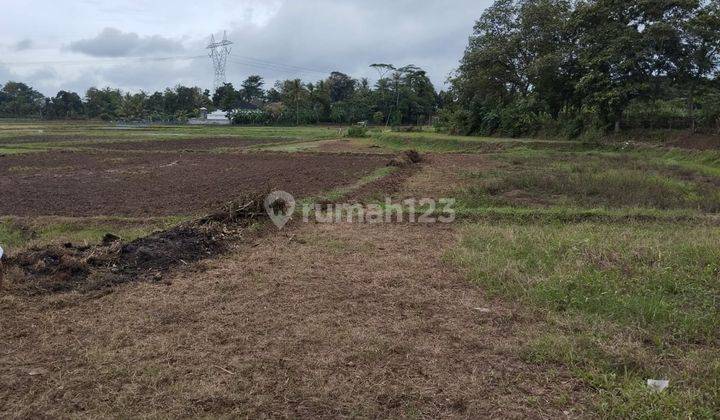 Tanah Kavling di Serang Banten Lokasi Strategis Nego  1