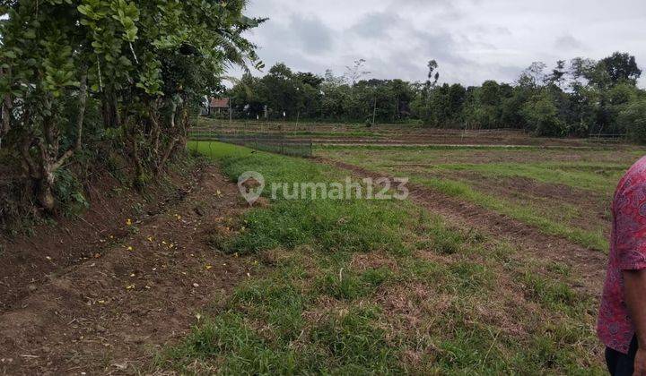 Tanah Kavling di Serang Banten Lokasi Strategis Nego  2