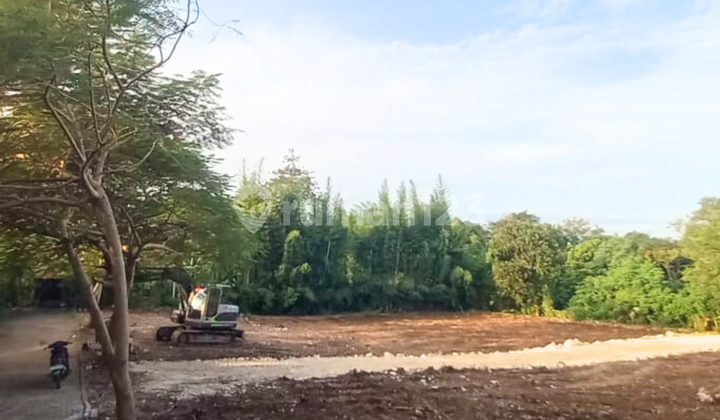 Bisa Nego! Kavling Bagus SHM di Savaya Pecatu Bali