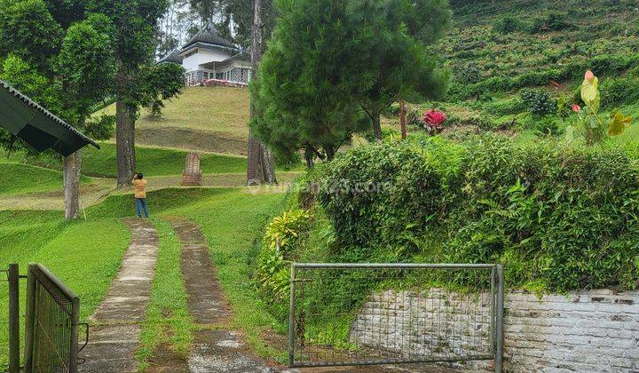 Puncak Pass Villa Cantik Nuansa Pegunungan Dgn Hutan Pinus 2