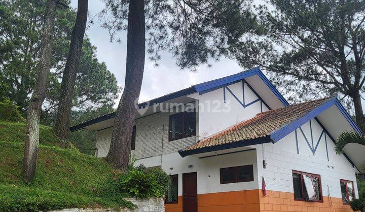 Puncak villa Cantik Nuansa Pegunungan Dgn Hutan Pinus 3