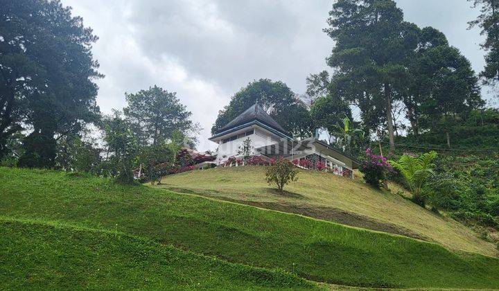 Puncak Pass Villa Cantik Nuansa Pegunungan Dgn Hutan Pinus 1