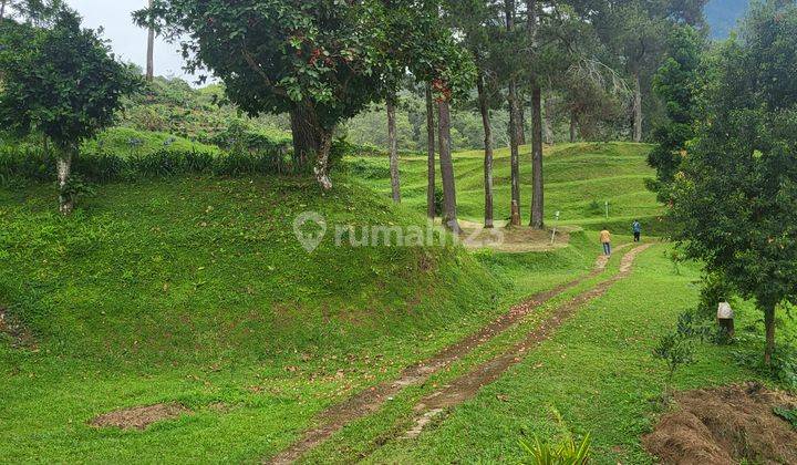 Puncak Pass Villa Cantik Nuansa Pegunungan Dgn Hutan Pinus 2