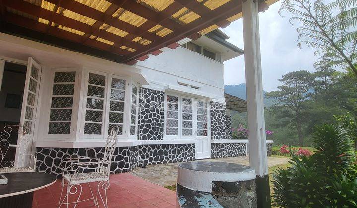 Puncak villa Cantik Nuansa Pegunungan Dgn Hutan Pinus 17