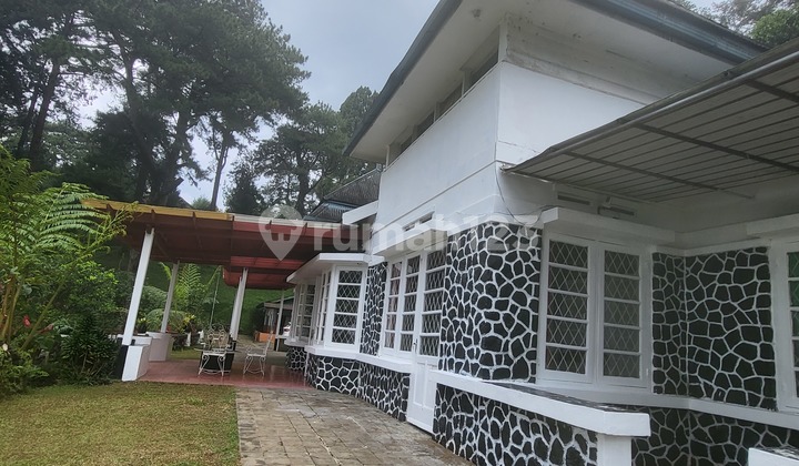Puncak villa Cantik Nuansa Pegunungan Dgn Hutan Pinus 20