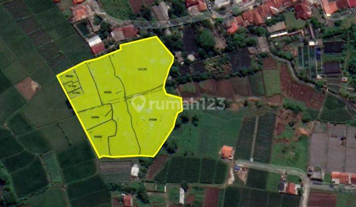 Tanah Kebun Dan Sawah Asri Area Dramaga Bogor 
