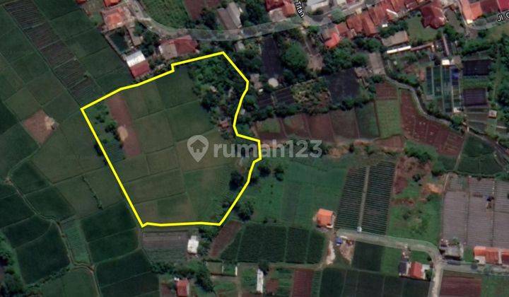 Tanah Kebun Dan Sawah Asri Area Dramaga Bogor 